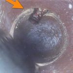 Gallery Sewer Camera Line Inspection 1754422614 Jpg